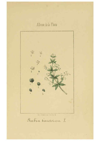 Reproducción/Reproduction 6012334690: Album de la flora médico-farmacéutica é industrial, indígena y exótica Madrid,Impr. de la Galeria literaria,1862-64