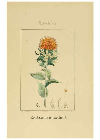 Reproducción/Reproduction 6011789655: Album de la flora médico-farmacéutica é industrial, indígena y exótica Madrid,Impr. de la Galeria literaria,1862-64