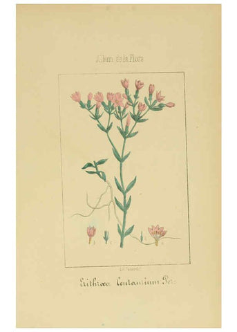 Reproducción/Reproduction 6011799429: Album de la flora médico-farmacéutica é industrial, indígena y exótica Madrid,Impr. de la Galeria literaria,1862-64