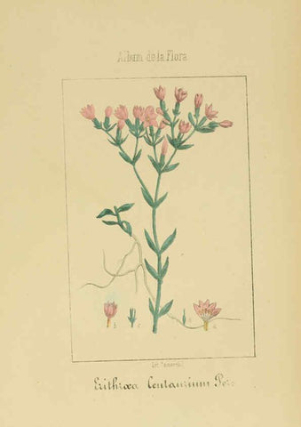 Reproducción/Reproduction 6011799429: Album de la flora médico-farmacéutica é industrial, indígena y exótica Madrid,Impr. de la Galeria literaria,1862-64