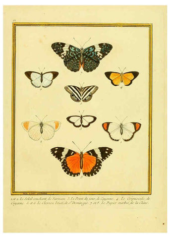 Reproducción/Reproduction 6008658021: Planches enluminées d'histoire naturelle t.1 Paris? :s.n.,1765-1783? 