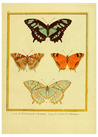 Reproducción/Reproduction 6009208136: Planches enluminées d'histoire naturelle t.1 Paris? :s.n.,1765-1783? 