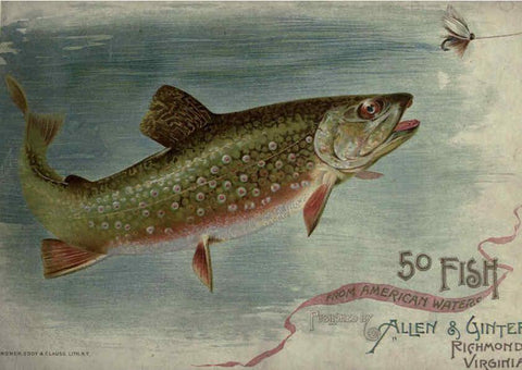 Reproducción/Reproduction 6012466738: 50 fish from American waters Richmond, Va. :Allen & Ginter,[188-?] 