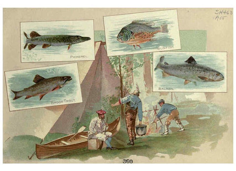 Reproducción/Reproduction 6012467056: 50 fish from American waters Richmond, Va. :Allen & Ginter,[188-?] 