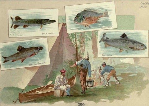 Reproducción/Reproduction 6012467056: 50 fish from American waters Richmond, Va. :Allen & Ginter,[188-?] 