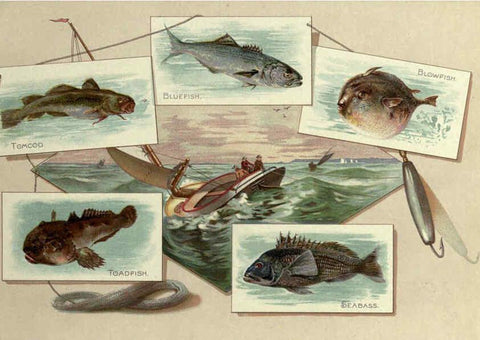 Reproducción/Reproduction 6011920007: 50 fish from American waters Richmond, Va. :Allen & Ginter,[188-?] 