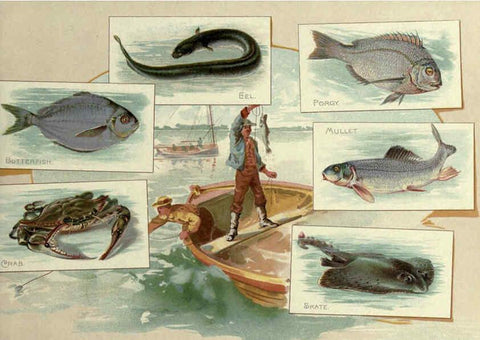 Reproducción/Reproduction 6012467662: 50 fish from American waters Richmond, Va. :Allen & Ginter,[188-?] 