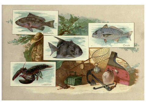 Reproducción/Reproduction 6012468202: 50 fish from American waters Richmond, Va. :Allen & Ginter,[188-?] 