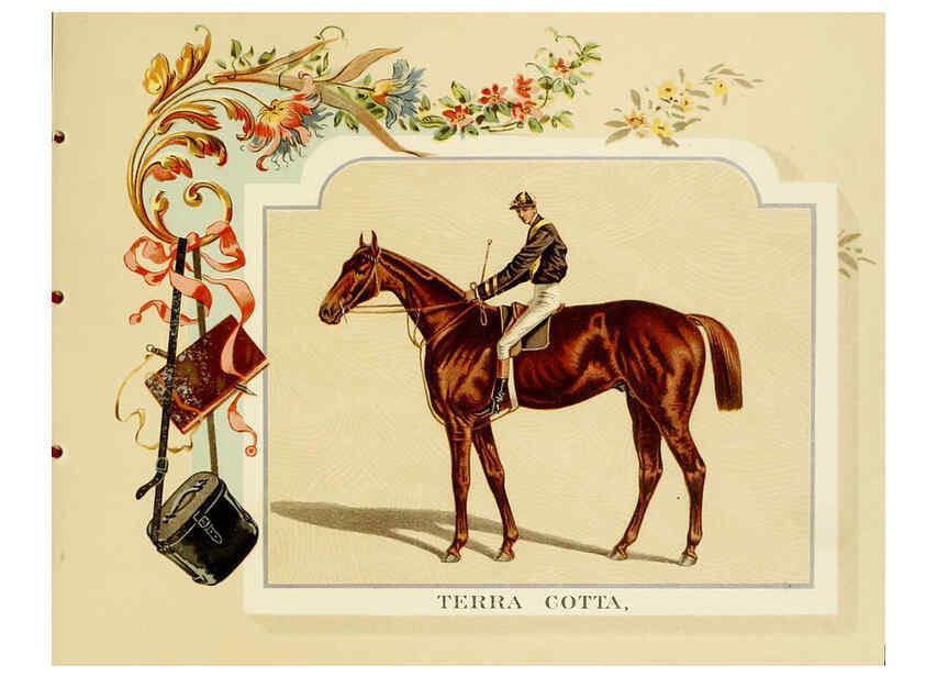 Reproducción/Reproduction 6011940851: Album of celebrated American and English running horses. New York :Kinney Bros.,[1888?] 
