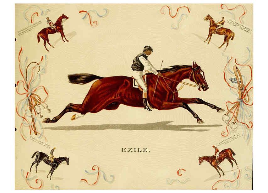 Reproducción/Reproduction 6012487858: Album of celebrated American and English running horses. New York :Kinney Bros.,[1888?] 