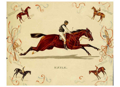 Reproducción/Reproduction 6012487858: Album of celebrated American and English running horses. New York :Kinney Bros.,[1888?] 