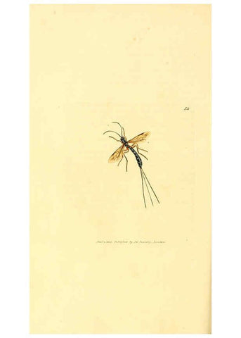 Reproducción/Reproduction 6008297369: The British miscellany London :Printed by R. Taylor & Co., and sold by the author, J. Sowerby by White, Johnson, Symonds, and all other booksellers,1806