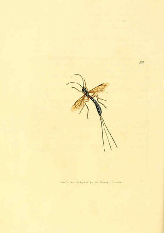 Reproducción/Reproduction 6008297369: The British miscellany London :Printed by R. Taylor & Co., and sold by the author, J. Sowerby by White, Johnson, Symonds, and all other booksellers,1806