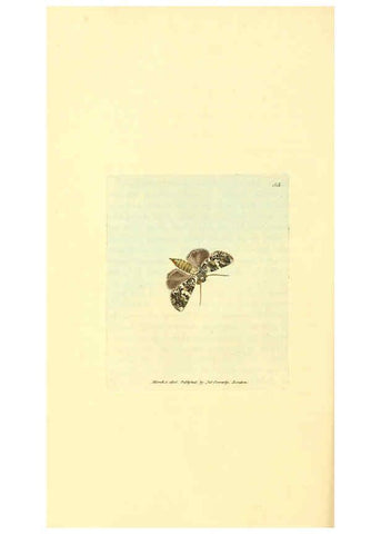 Reproducción/Reproduction 6008845668: The British miscellany London :Printed by R. Taylor & Co., and sold by the author, J. Sowerby by White, Johnson, Symonds, and all other booksellers,1806