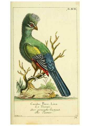 Reproducción/Reproduction 6009084370: Gemeinnüzzige Naturgeschichte des Thierreichs bd 2 plates Berlin ;bei Gottlieb August Lange,1780-1789