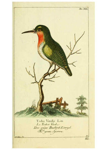 Reproducción/Reproduction 6009085410: Gemeinnüzzige Naturgeschichte des Thierreichs bd 2 plates Berlin ;bei Gottlieb August Lange,1780-1789