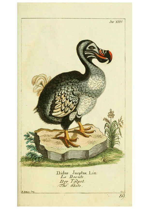 Reproducción/Reproduction 6008539857: Gemeinnüzzige Naturgeschichte des Thierreichs bd 2 plates Berlin ;bei Gottlieb August Lange,1780-1789