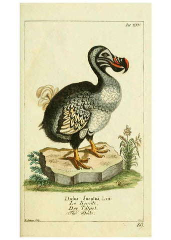 Reproducción/Reproduction 6008539857: Gemeinnüzzige Naturgeschichte des Thierreichs bd 2 plates Berlin ;bei Gottlieb August Lange,1780-1789