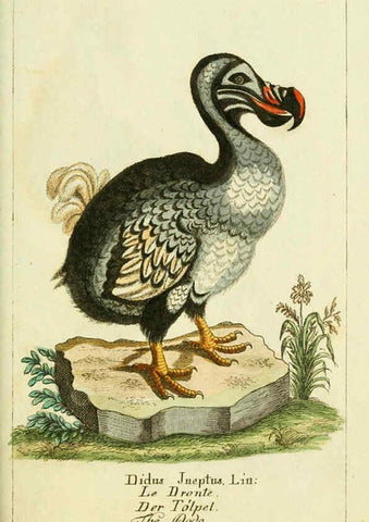 Reproducción/Reproduction 6008539857: Gemeinnüzzige Naturgeschichte des Thierreichs bd 2 plates Berlin ;bei Gottlieb August Lange,1780-1789