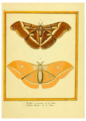 Reproducción/Reproduction 6008645037: Planches enluminées d'histoire naturelle t.1 Paris? :s.n.,1765-1783? 
