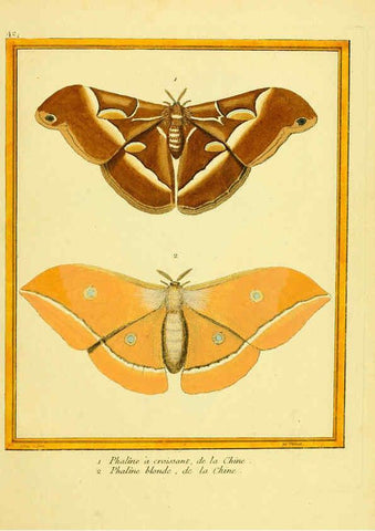 Reproducción/Reproduction 6008645037: Planches enluminées d'histoire naturelle t.1 Paris? :s.n.,1765-1783? 