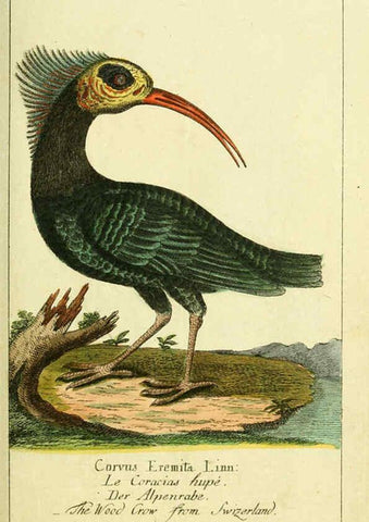 Reproducción/Reproduction 6009082116: Gemeinnüzzige Naturgeschichte des Thierreichs bd 2 plates Berlin ;bei Gottlieb August Lange,1780-1789