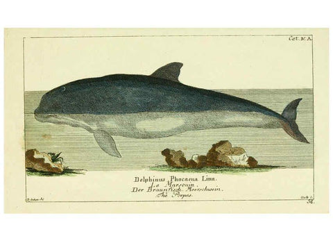 Reproducción/Reproduction 6008530675: Gemeinnüzzige Naturgeschichte des Thierreichs bd 2 plates Berlin ;bei Gottlieb August Lange,1780-1789