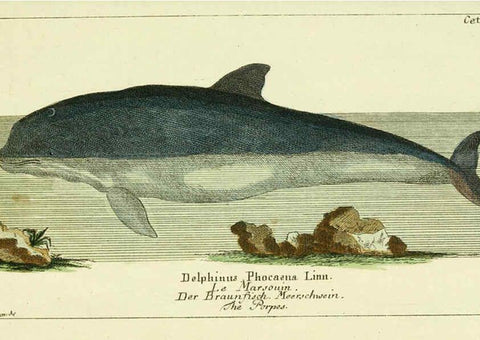 Reproducción/Reproduction 6008530675: Gemeinnüzzige Naturgeschichte des Thierreichs bd 2 plates Berlin ;bei Gottlieb August Lange,1780-1789