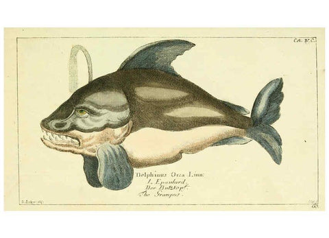 Reproducción/Reproduction 6008531145: Gemeinnüzzige Naturgeschichte des Thierreichs bd 2 plates Berlin ;bei Gottlieb August Lange,1780-1789
