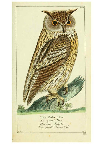 Reproducción/Reproduction 6008531901: Gemeinnüzzige Naturgeschichte des Thierreichs bd 2 plates Berlin ;bei Gottlieb August Lange,1780-1789