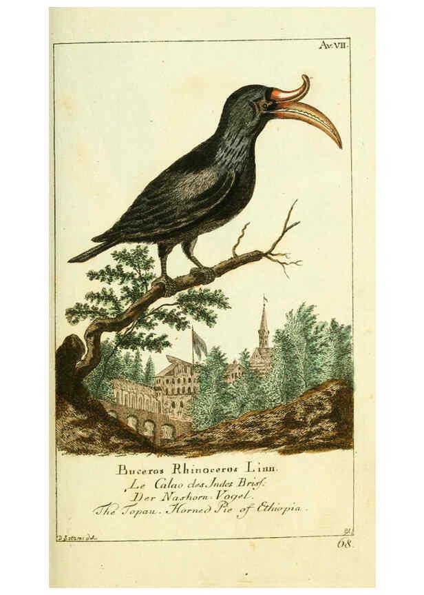 Reproducción/Reproduction 6008533559: Gemeinnüzzige Naturgeschichte des Thierreichs bd 2 plates Berlin ;bei Gottlieb August Lange,1780-1789