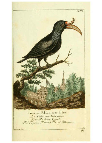 Reproducción/Reproduction 6008533559: Gemeinnüzzige Naturgeschichte des Thierreichs bd 2 plates Berlin ;bei Gottlieb August Lange,1780-1789
