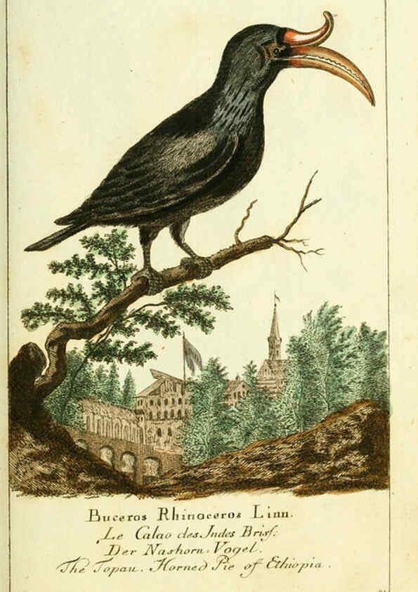 Reproducción/Reproduction 6008533559: Gemeinnüzzige Naturgeschichte des Thierreichs bd 2 plates Berlin ;bei Gottlieb August Lange,1780-1789