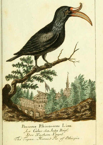 Reproducción/Reproduction 6008533559: Gemeinnüzzige Naturgeschichte des Thierreichs bd 2 plates Berlin ;bei Gottlieb August Lange,1780-1789