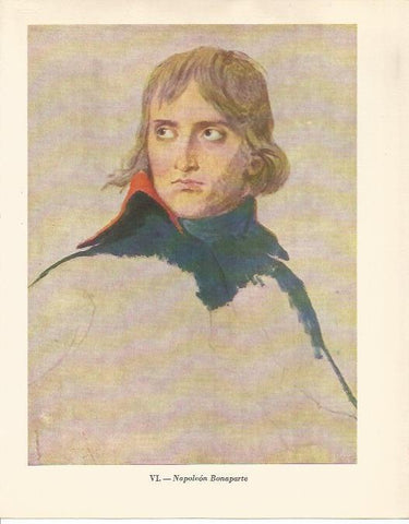 LAMINA 20809: Napoleon Bonaparte