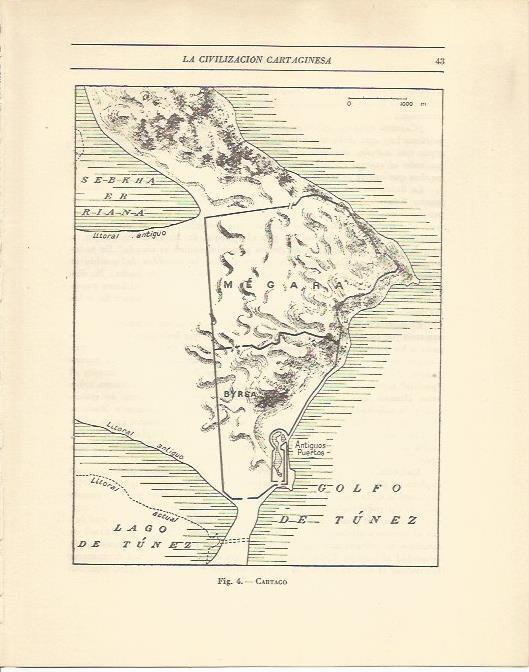 LAMINA 20816: Mapa de Cartago
