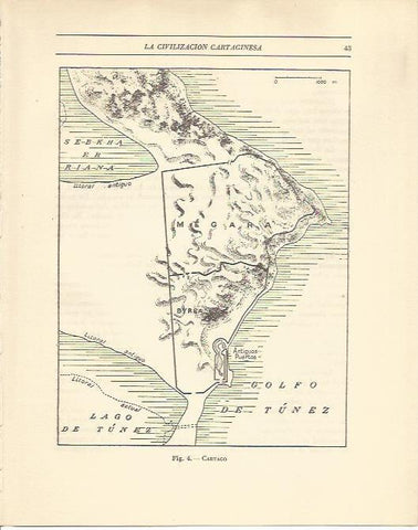 LAMINA 20816: Mapa de Cartago