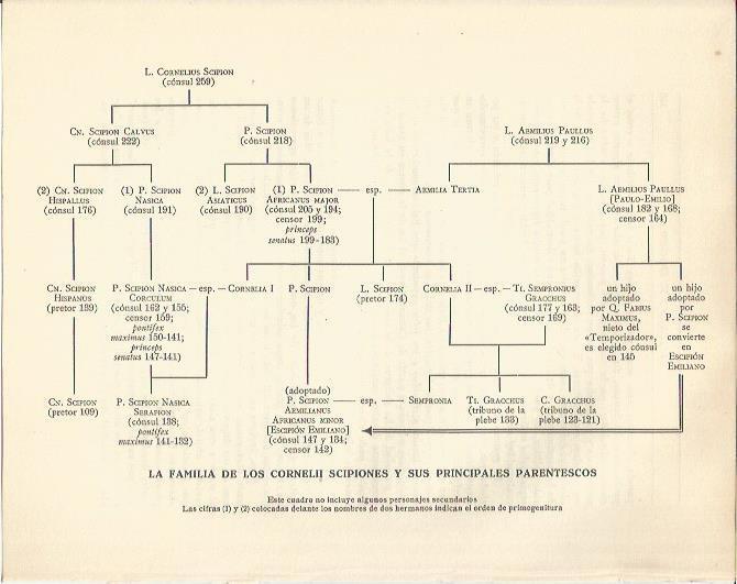 LAMINA 20825: Arbol geenelogico de los Escipiones