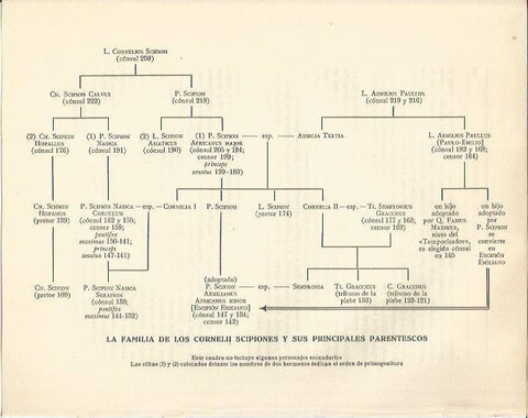 LAMINA 20825: Arbol geenelogico de los Escipiones