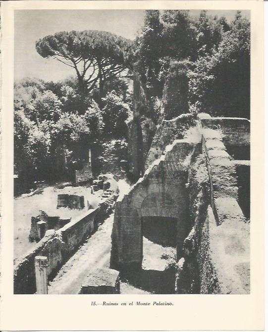 LAMINA 20827: Ruinas del Monte Palatino de Roma
