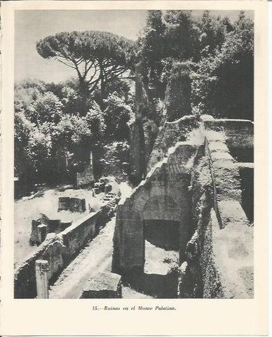 LAMINA 20827: Ruinas del Monte Palatino de Roma