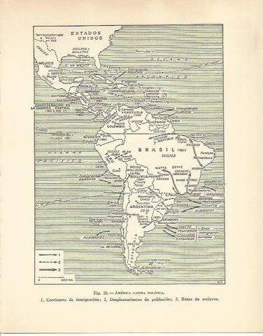 LAMINA 20907: Mapa de America Latina Politica 