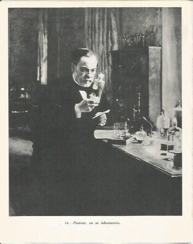LAMINA 20885: Pasteur en su laboratorio