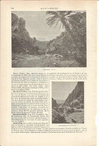 LAMINA ESPASA 35607: El-Kantara