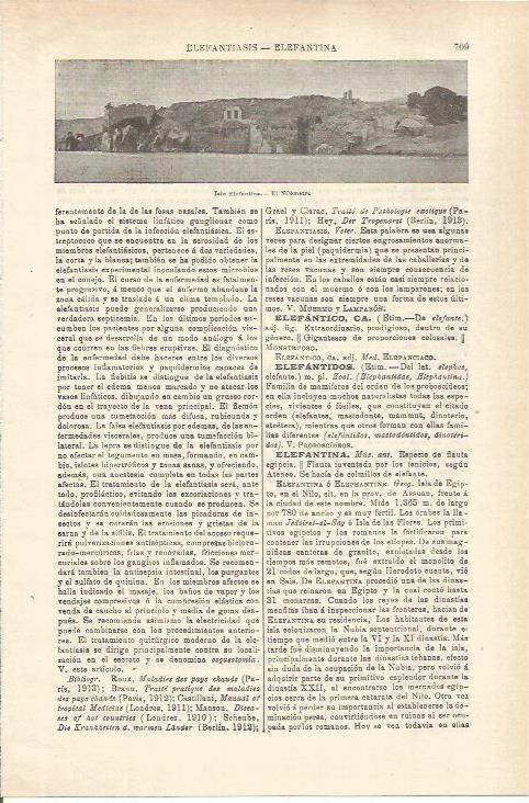 LAMINA ESPASA 35590: Nilometro de la Isla Elefantina 