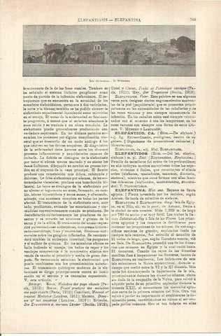 LAMINA ESPASA 35590: Nilometro de la Isla Elefantina 
