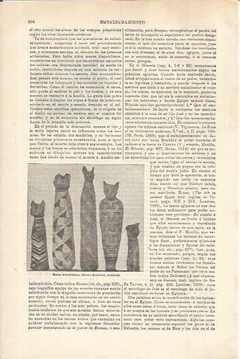LAMINA ESPASA 35629: Gatos momificados