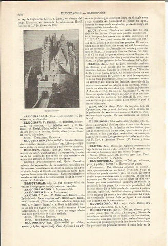 LAMINA ESPASA 35620: Castillo de Eltz. Alemania