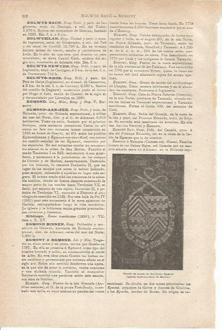LAMINA ESPASA 35539: escudo de armas de W. Egmont