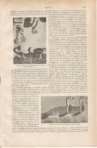 LAMINA ESPASA 35533: Escena de caza , Egipto